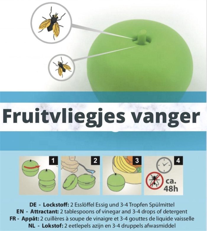 K-GOODS Fruitvliegjes vanger